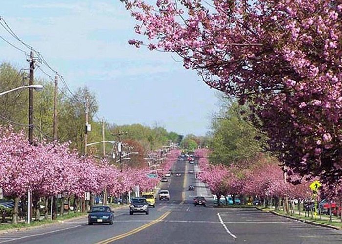 Negocio Cherry Hill Personal Injury Lawyer